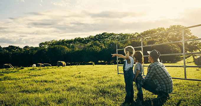 Children pointing at cows in field