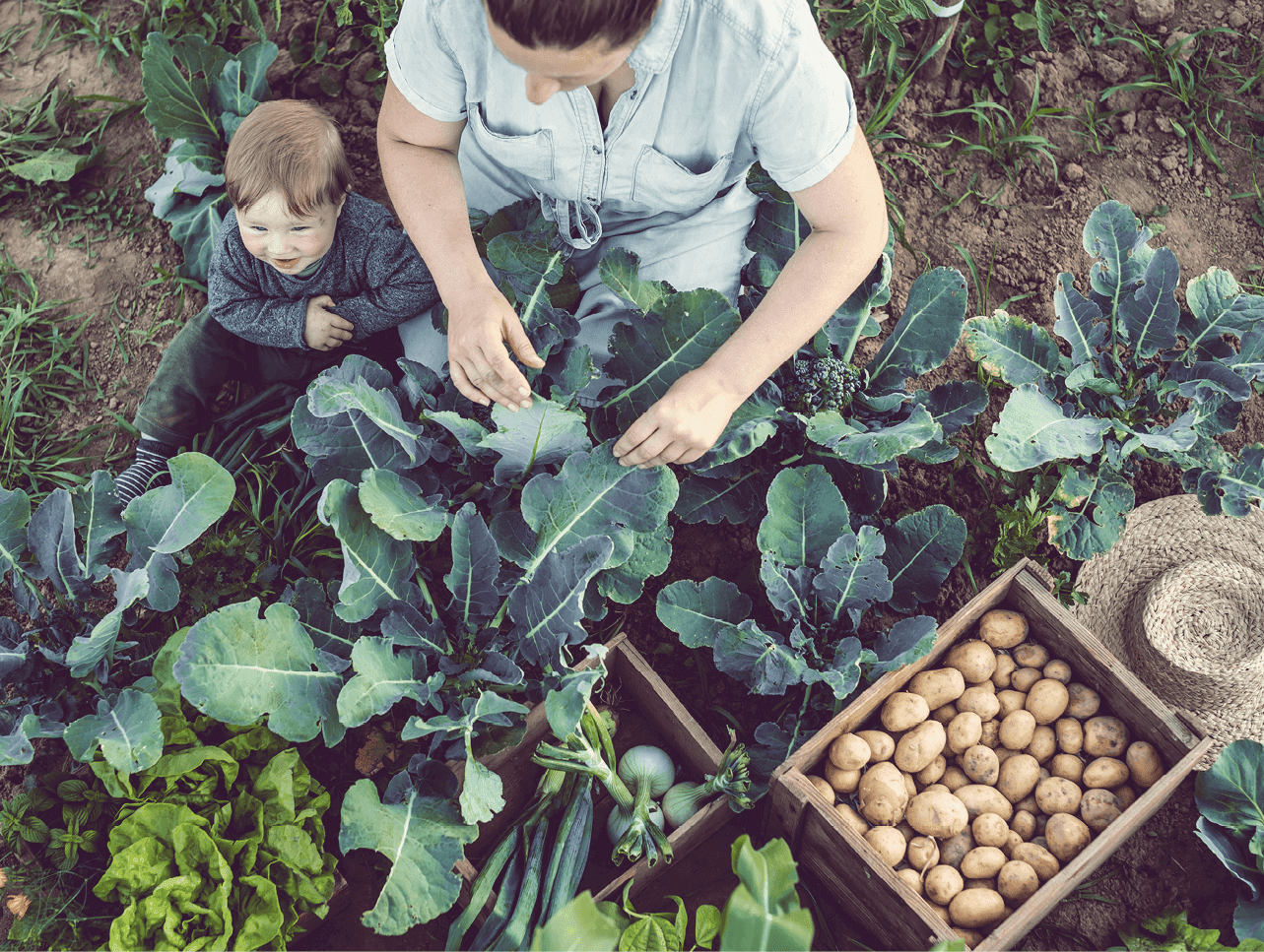 Mother and child harvesting crops